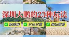 深圳游玩结识朋友：邂逅鹏城，开启愉快旅程与珍贵友情