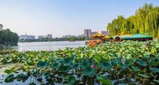济南旅行好去处：大明湖景区，邂逅新友，共赏湖光美食
