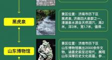 济南私人导游服务：创新背后的风险挑战与丰富内容解析