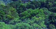 杭州魅力十足！这些绝佳景点，是旅行交友的好去处