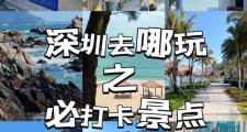 深圳旅行交友好去处，热门景点与特色活动不容错过