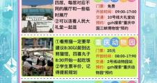 重庆私人导游服务：领略历史文化，打造难忘旅程