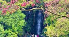 杭州旅游好去处，西湖九溪烟树适合交友，还有联谊旅行团