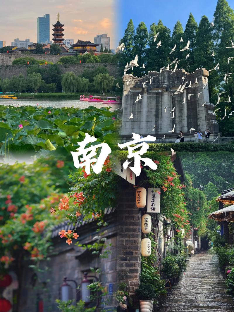 南京哪里有好的旅行交友_南京交友俱乐部_交友旅游