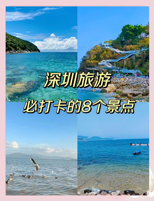 深圳交友地点_深圳旅行交友指南_深圳交友活动平台